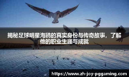 揭秘足球明星海鸥的真实身份与传奇故事,了解他的职业生涯与成就